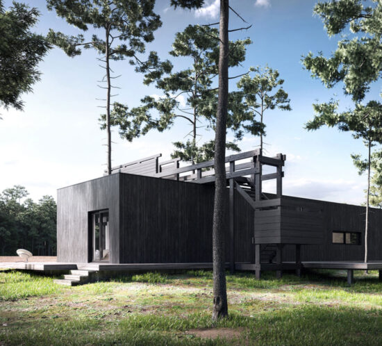 modern house with black wood facade surrounded by forest
